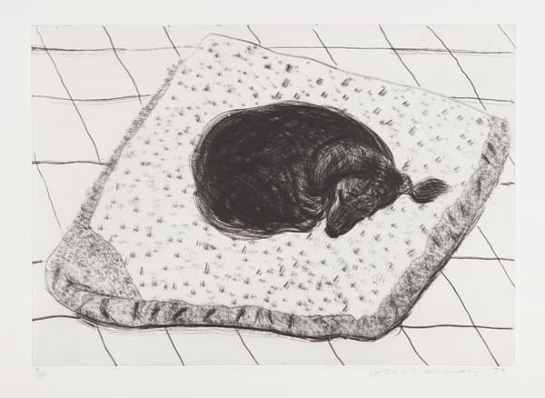 Dog Etching No. 15, from Dog Wall - David Hockney