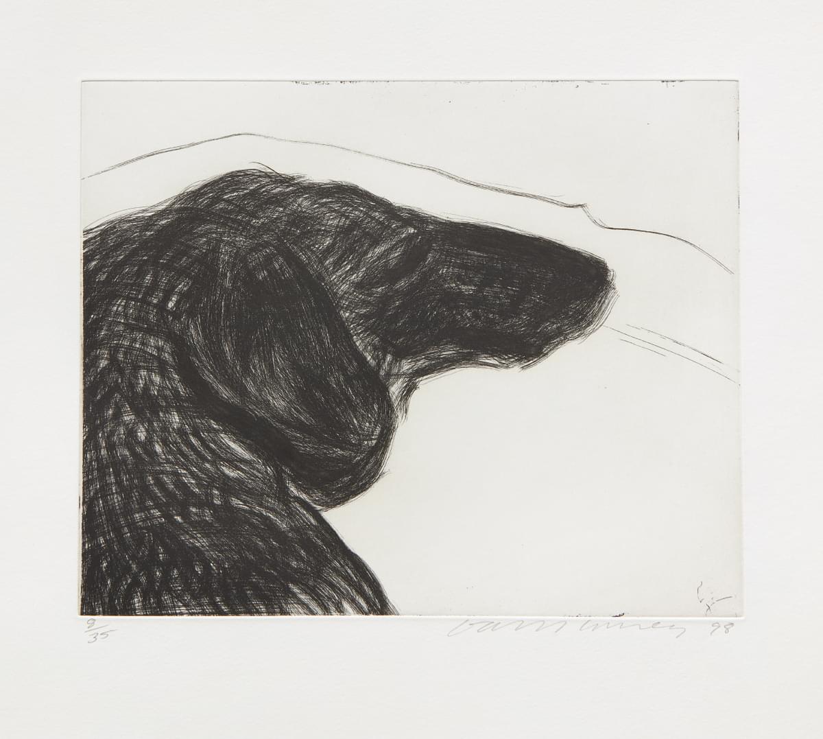David Hockney Dog Etching No.6, from Dog Wall, original etching print for sale