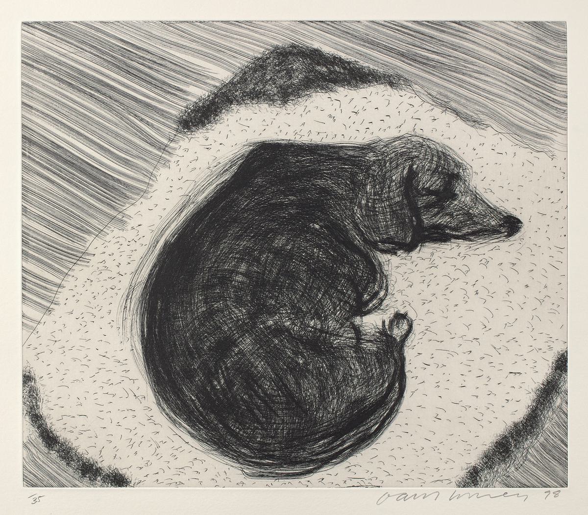 David Hockney Dog Etching No3, from Dog Wall, original etching print for sale