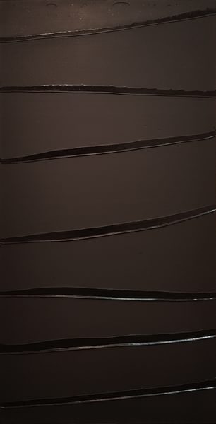 Peinture 181 x 91 cm, 7 avril 2007 - Pierre Soulages