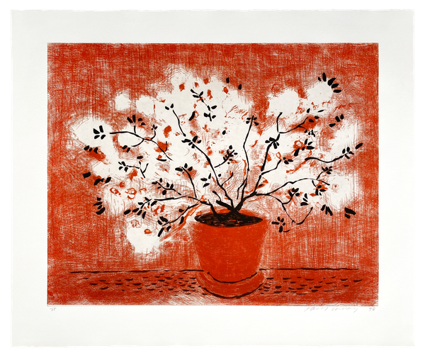 Red Wire Plant - David Hockney
