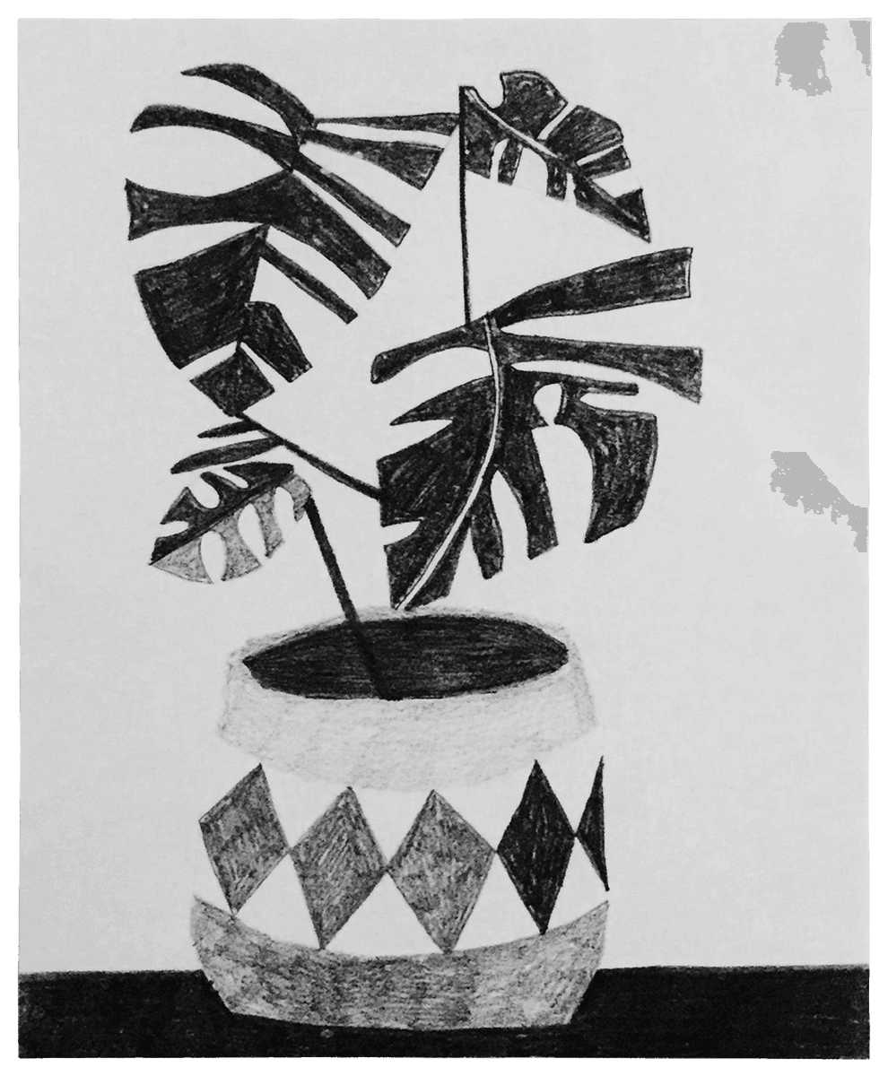 Jonas Wood Untitled signed plant print for sale