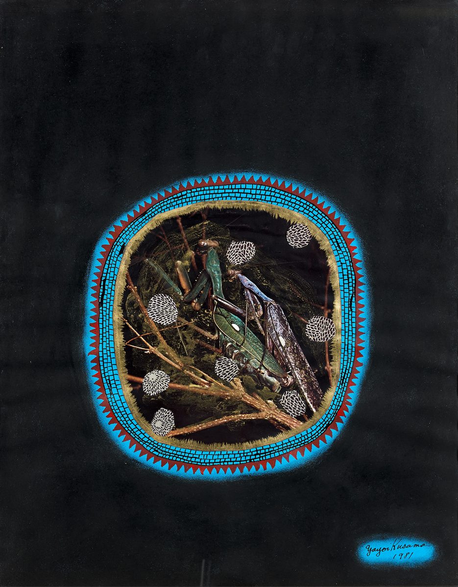 AC25 11 KUSAMA Mantis crop