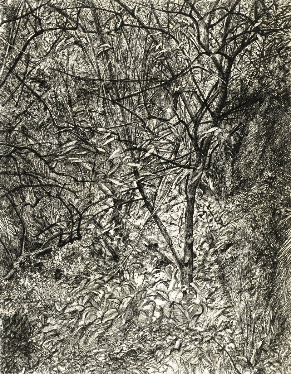 Lucian Freud Garden in Winter original signed etching for sale