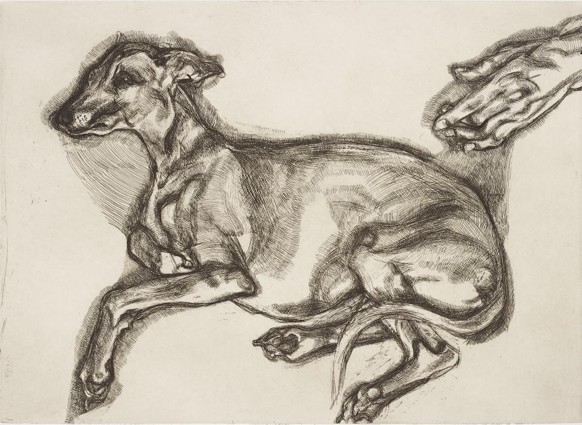 Lucian Freud Pluto aged Twelve original signed etching for sale