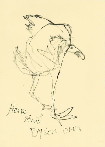 Fierce Bird - Julian Dyson