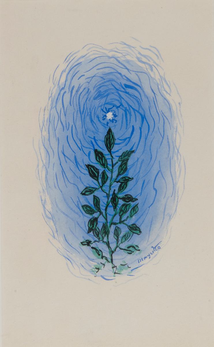René Magritte Plant with Flowers and Leaves original gouache on paper signed by artist for sale