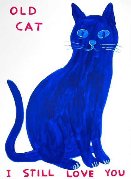 Old Cat - David Shrigley