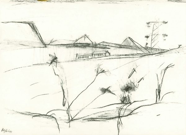 Wild Flowers in a Mining Landscape - Julian Dyson
