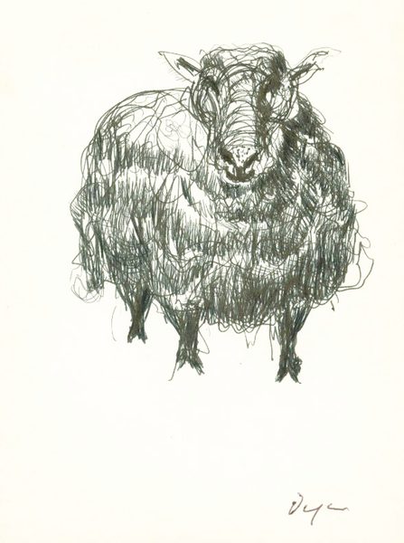Standing Sheep - Julian Dyson