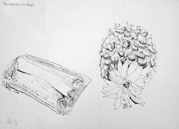 Marks & Spencer Leeks and a Pineapple - Julian Dyson
